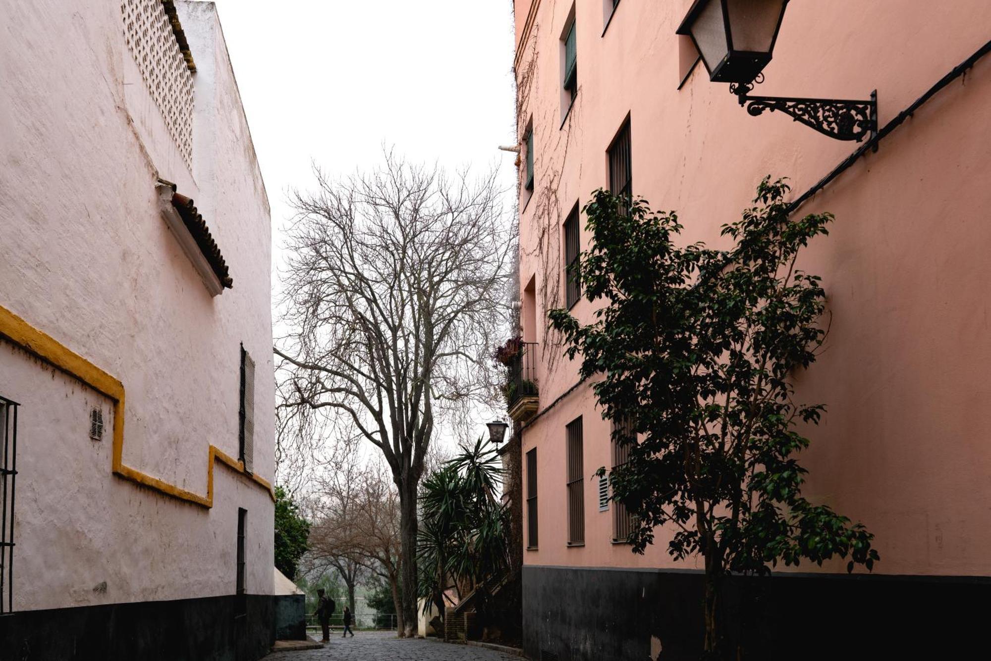 Apartamento Castilla 61 Севилья Экстерьер фото